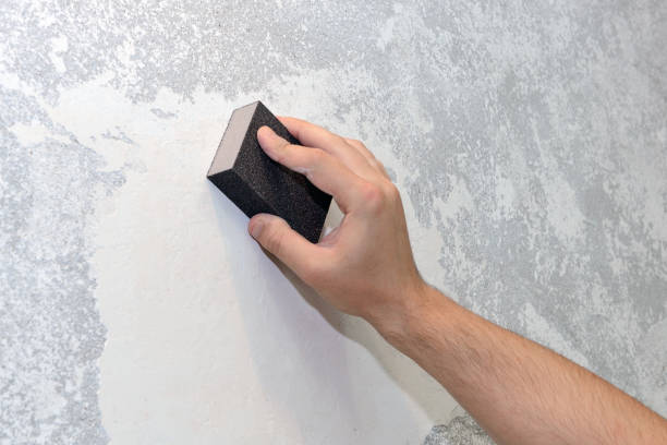 Best Emergency Mold Remediation  in Santa Rosa, CA