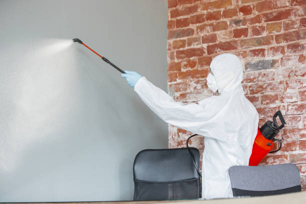 Environmental Consulting for Mold Prevention in Santa Rosa, CA