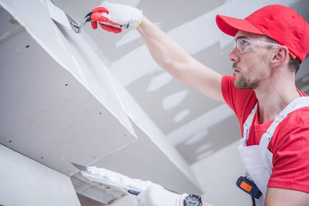 Santa Rosa, CA Mold Removal Company